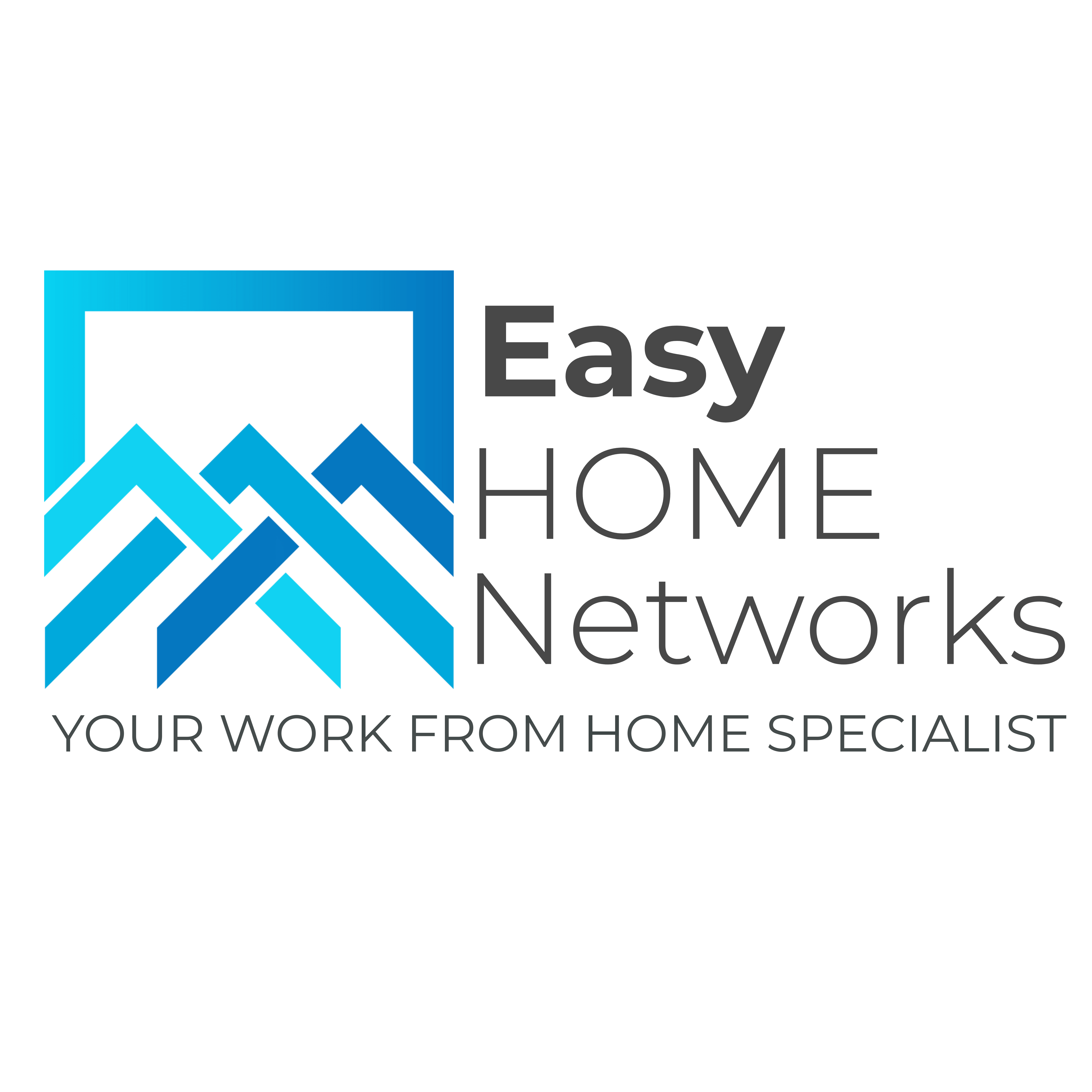 Easy Home Networks Logo